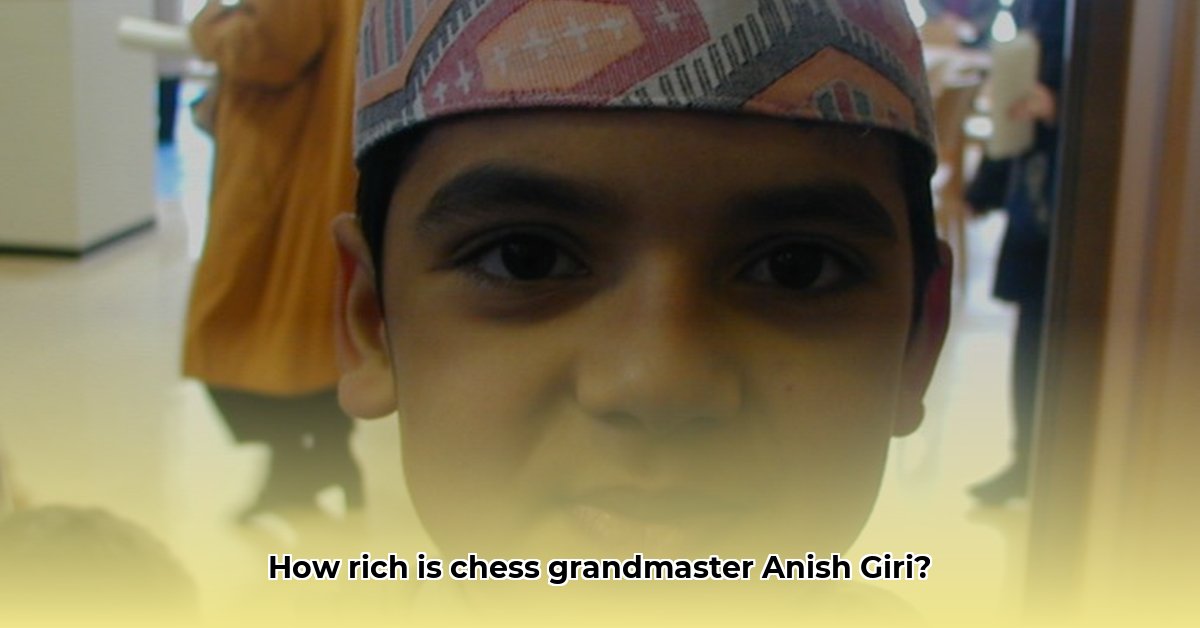 anish giri net worth